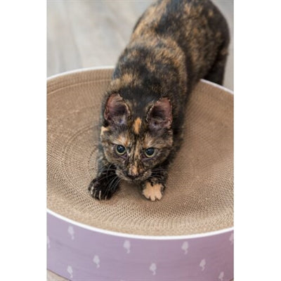 Trixie Krabmand Lilly Karton Catnip Lila