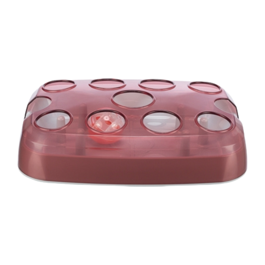 Activiteitenspeelgoed voor katten - 33 x 24 cm