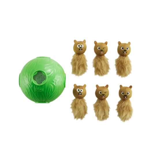 Outward Hound/Nina Ottosson - Dog Snuffle N' Treat Bal Groen - 16 cm - Level 2